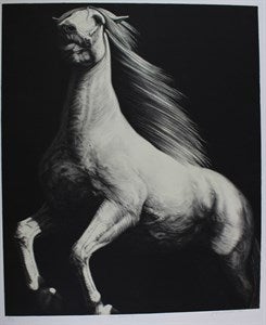 Image description is not available for DU1982.6